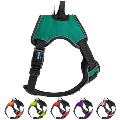 Co-Pilot Adjustable No Pull Dog Harness with Handle