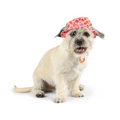 Bucket Hats with SnugFit®