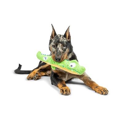 Fetchies® Gus Gator Dog Toy