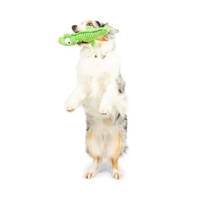 Fetchies® Gus Gator Dog Toy
