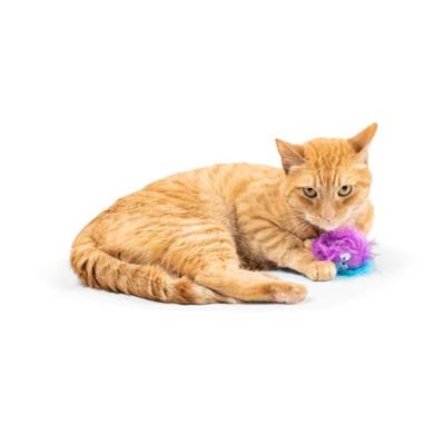 Furr Ball Cat Toy - Assorted Colors