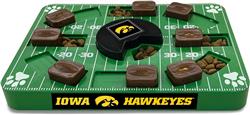 Iowa Puzzle Toy