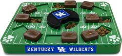 Kentucky Puzzle Toy