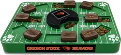 Oregon State Puzzle Toy