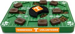 Tennessee Puzzle Toy