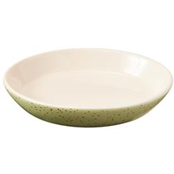 Spot Speckled Oval Cat Dish 1ea-6 in