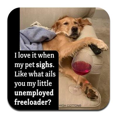 Unemployed Freeloader - Coaster