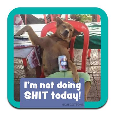 Not doing shit today - Coaster