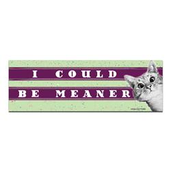 I could be meaner -  Bumper Magnets
