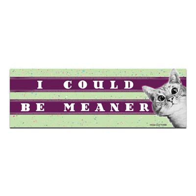 I could be meaner -  Bumper Magnets