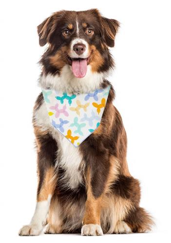 Birthday Bandana |  Birthday Dog Bandana | Happy Birthday Bandana | Party Bandana - BALLOON DOGS
