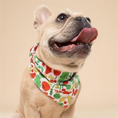 Farmers Market Dog Bandana