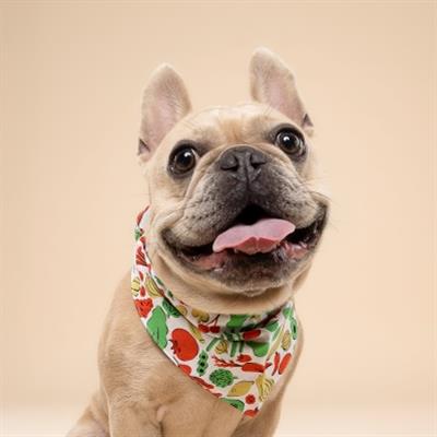 Farmers Market Dog Bandana