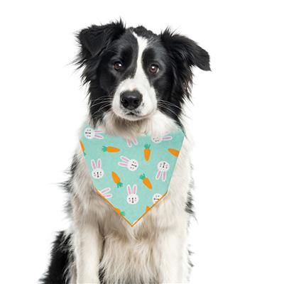 Easter Dog Bandana, Carrots, Bunnies, Spring Bandana