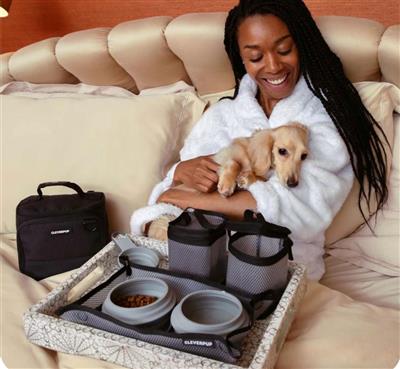 Bistro Box Dog Food Travel Kit - Small Graphite