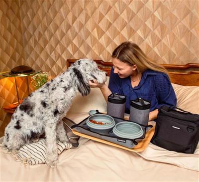 Bistro Box Dog Food Travel Kit - Large - Graphite