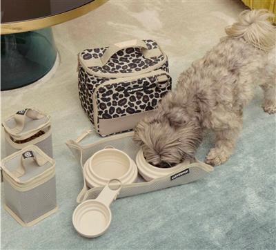 Bistro Box Dog Food Travel Kit - Small - Leopard