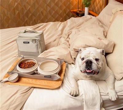 Bistro Box Dog Food Travel Kit - Large - Sand