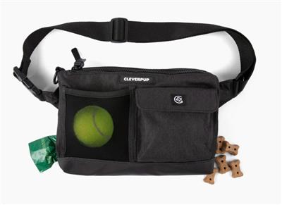 Dog Walk & Train Sling - Graphite