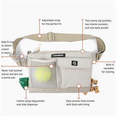 Dog Walk & Train Sling - Sand