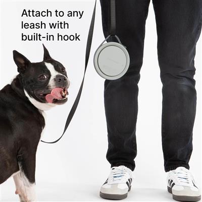 Nomad Collapsible Dog Bowl - Small - Grey