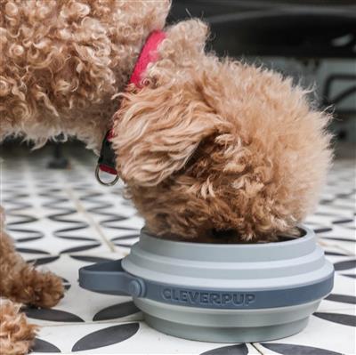 Nomad Collapsible Dog Bowl - Small - Grey