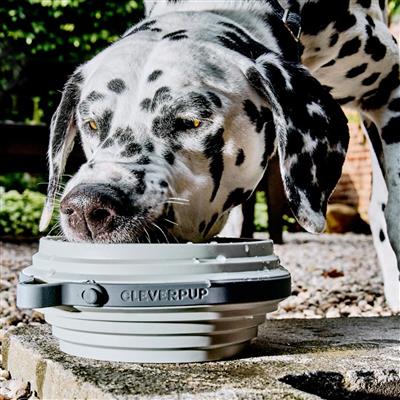 Nomad Collapsible Dog Bowl - Large - Grey