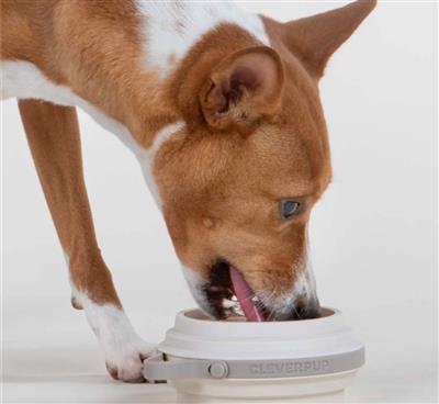 Nomad Collapsible Dog Bowl - Small - Sand