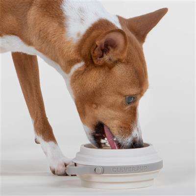 Nomad Collapsible Dog Bowl - Small - Sand