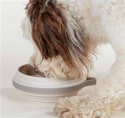 Nomad Collapsible Dog Bowl - Large - Sand