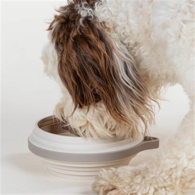 Nomad Collapsible Dog Bowl - Large - Sand
