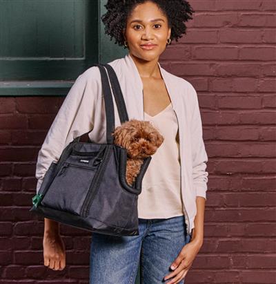 Transit Dog Carrier Tote - Small - Graphite