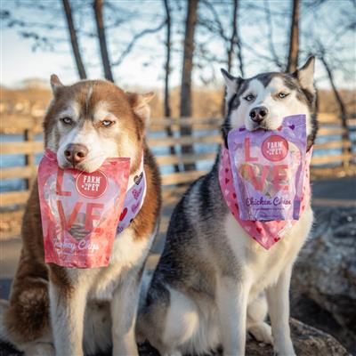 Valentine Dog Treats