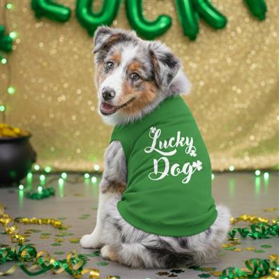 Lucky Dog Dog Shirt - Emerald Green