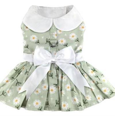 Mint Green Daisy Dog Dress with Matching Leash