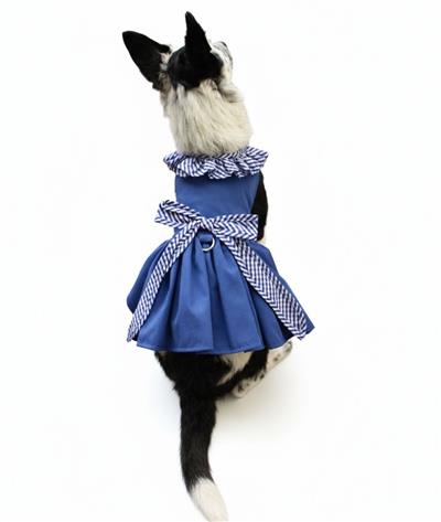 Blue Gingham Dog Dress with Matching Leash