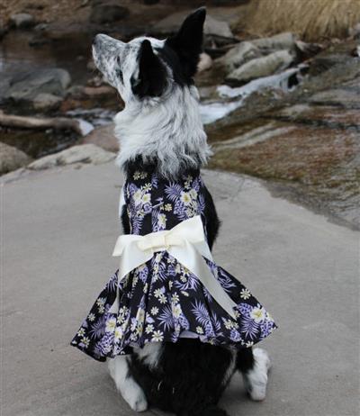Purple Twilight Hawaiian Dog Dress with Matching Leash