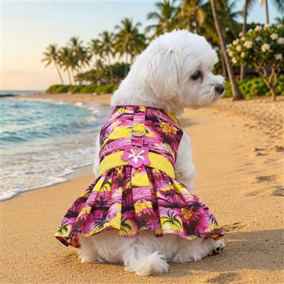 Tropical Sunset Dog Dress with Matching Leash