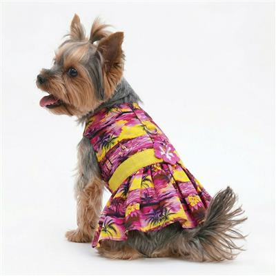 Tropical Sunset Dog Dress with Matching Leash