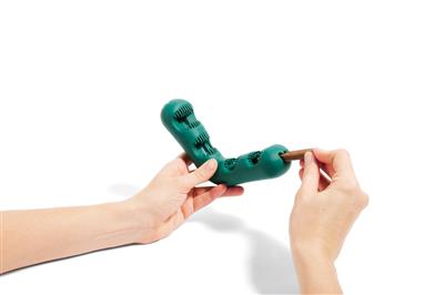 Bite N' Brush Dental Refills Beef