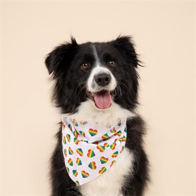 Pride Hearts Dog Bandana