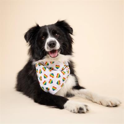 Pride Hearts Dog Bandana