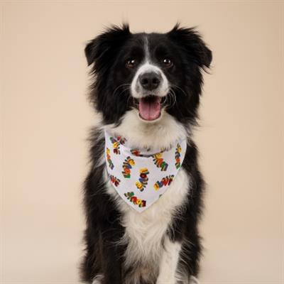 Love Dog Bandana