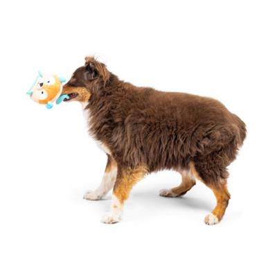 Pudgies Nutty Buddy Dog Toy