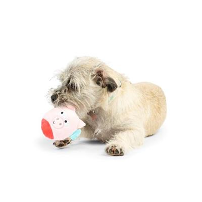 Tiny Tuff Flying Piggasus