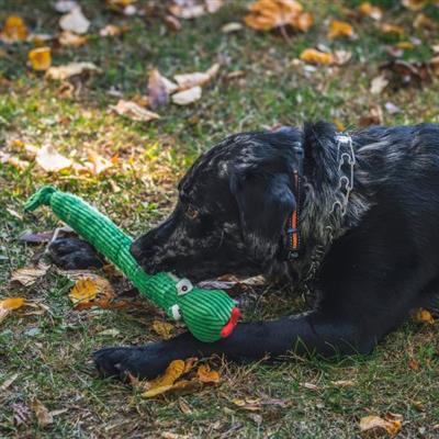 Sir Squeaks-a-Lot Snake Knottie® Small or Large