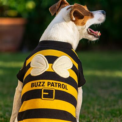 Buzz Patrol Bee