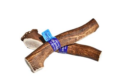 Giant Whole Elk Antler Dog Chew — Grade A - Wholesale — Long-Lasting Natural Chew for Heavy Chewers