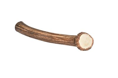 Giant Whole Elk Antler Dog Chew — Grade A - Wholesale — Long-Lasting Natural Chew for Heavy Chewers
