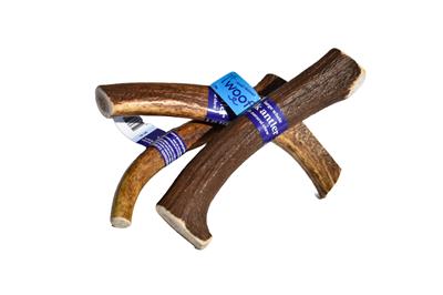 Elk Antler (Large) - Whole & Split - Grade A - Cases Wholesale